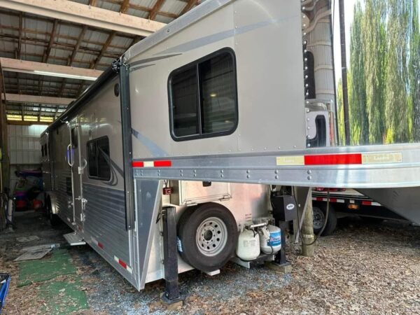 2018 Lakota Bighorn 3 horse