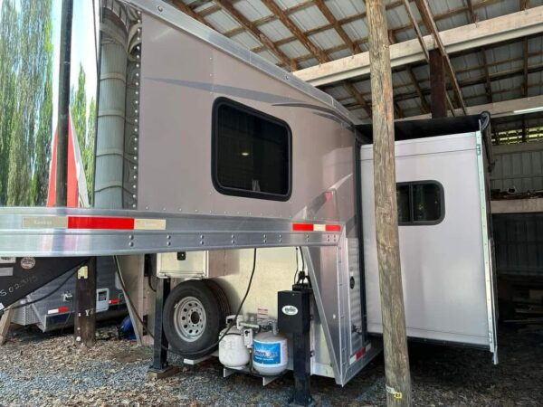 2018 Lakota Bighorn 3 horse