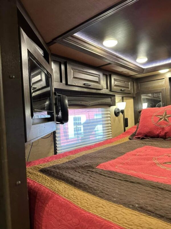 2018 Lakota Bighorn 3 horse