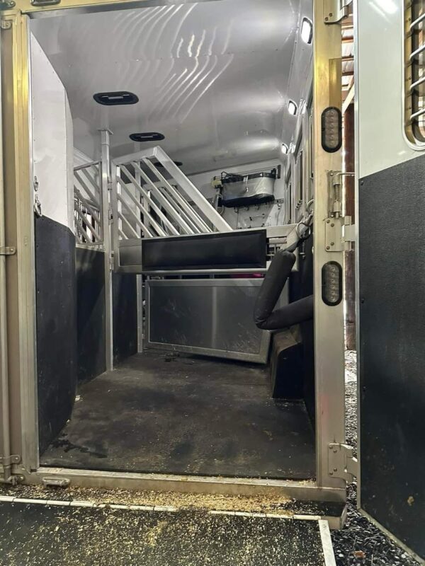 2018 Lakota Bighorn 3 horse