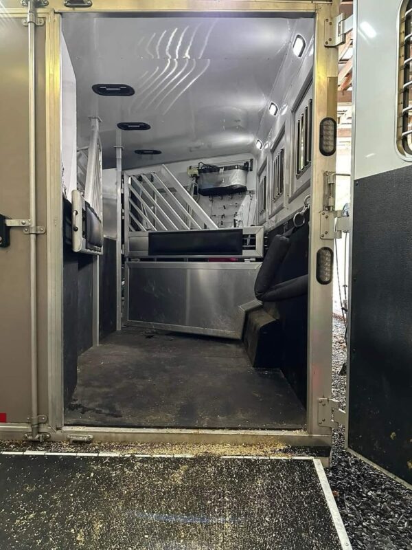 2018 Lakota Bighorn 3 horse