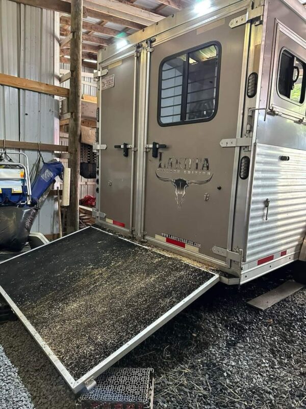 2018 Lakota Bighorn 3 horse